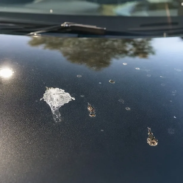 Como proteger a pintura do carro contra sol, chuva e contaminação